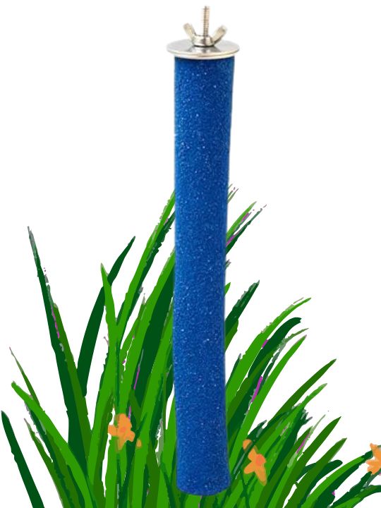 untitled design (7)
